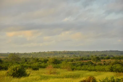 DSC_4325 (Large).JPG